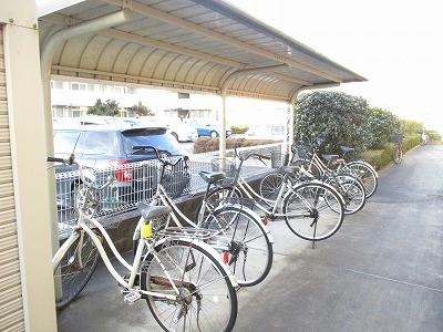 14/14 その他画像