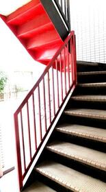 15/17 その他画像