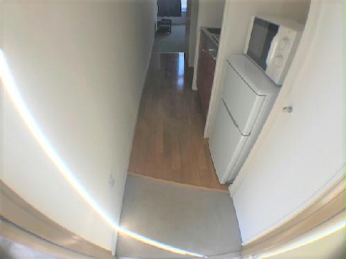 11/11 その他画像