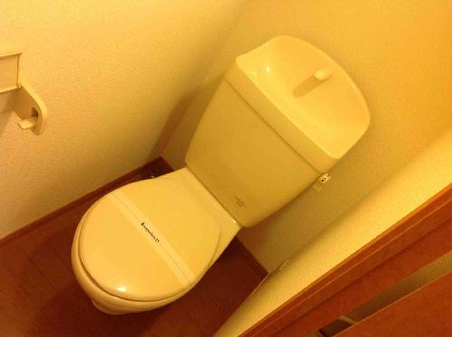 14/14 その他画像