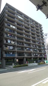 11/11 その他画像