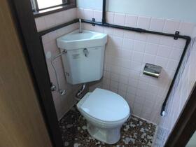 14/14 その他画像