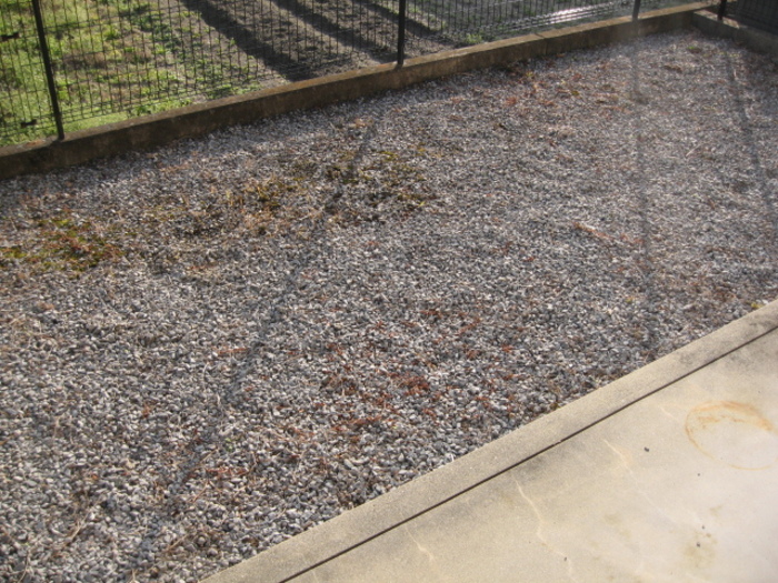 16/26 その他画像