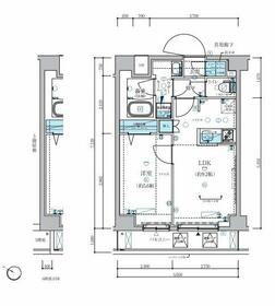 メインステージ板橋志村Ⅲの間取り