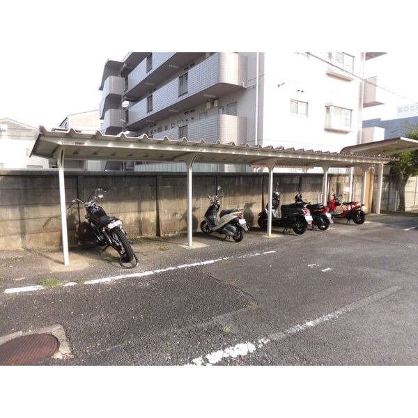 その他共有