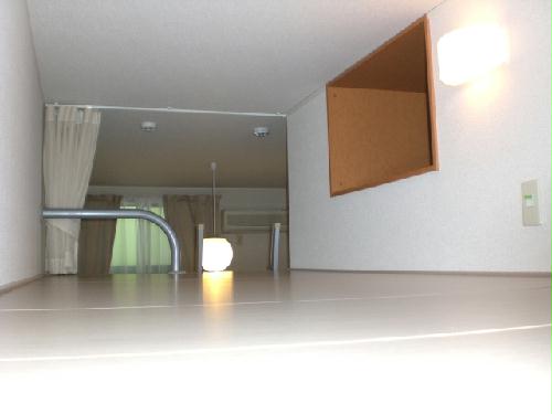 5/14 その他画像