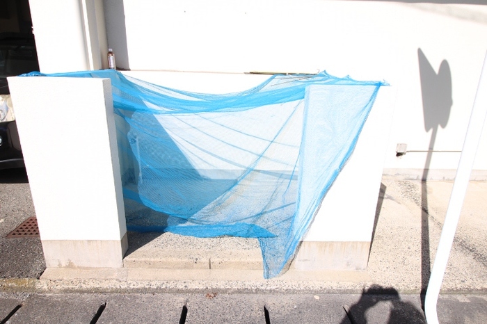 16/19 その他画像