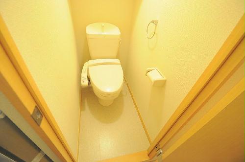 11/13 その他画像