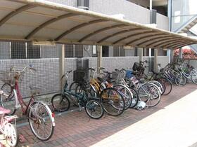 11/13 その他画像