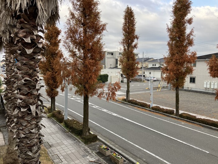 17/19 その他画像