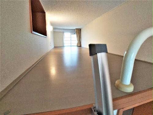 11/23 その他画像