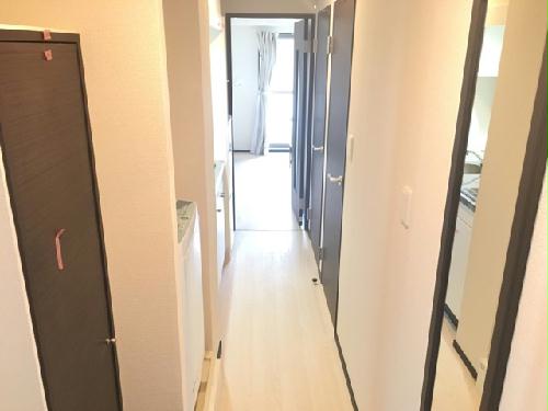 8/14 その他画像