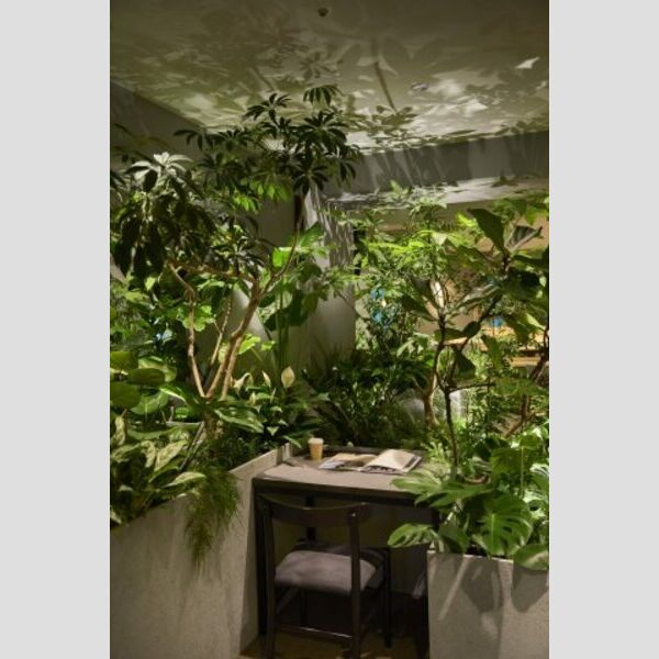 6/18 その他画像