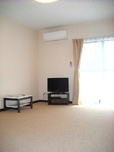 11/19 その他画像