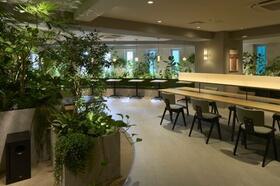 8/15 その他画像