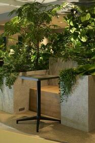 3/15 その他画像