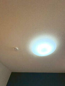 11/16 その他画像