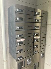 8/13 その他画像