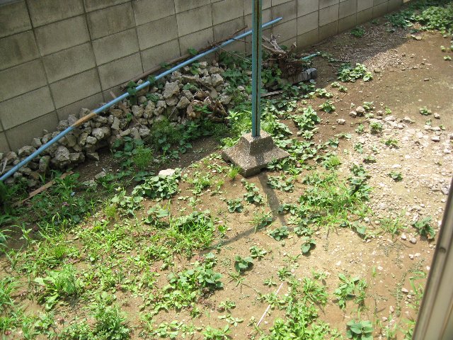 13/27 その他画像