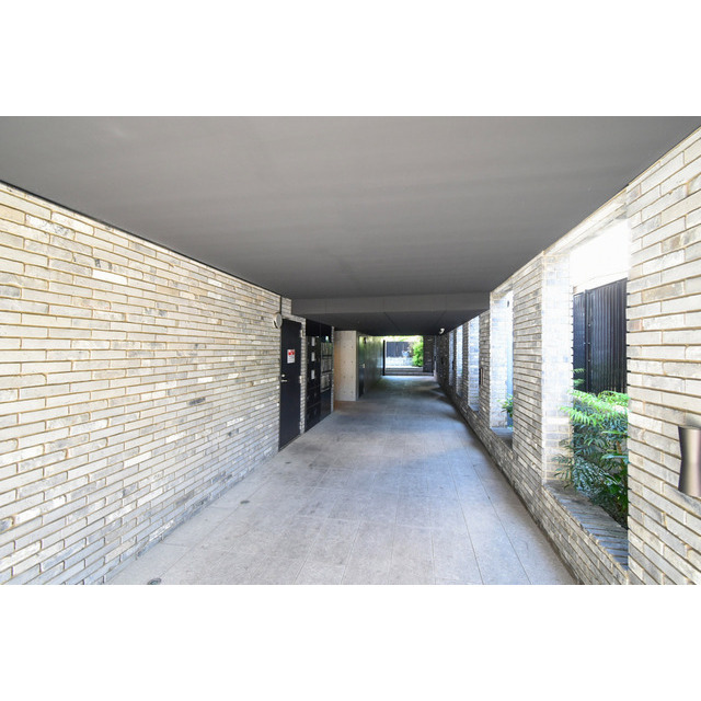 3/15 その他画像