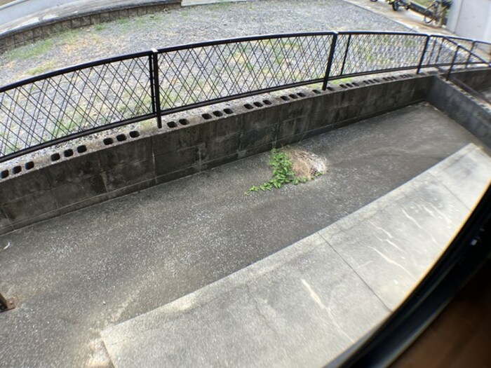 11/15 その他画像