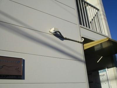 11/19 その他画像