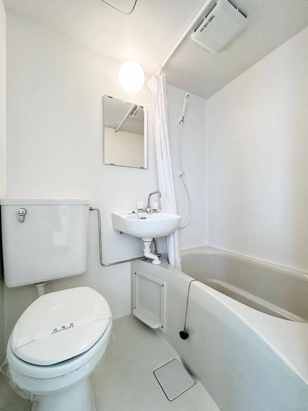 5/11 その他画像