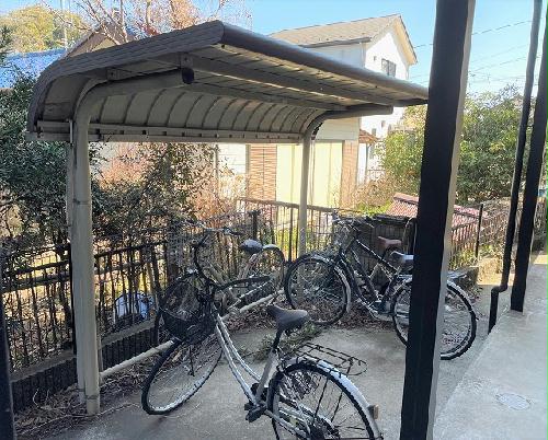 11/20 その他画像