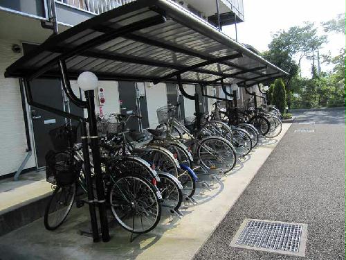 11/20 その他画像