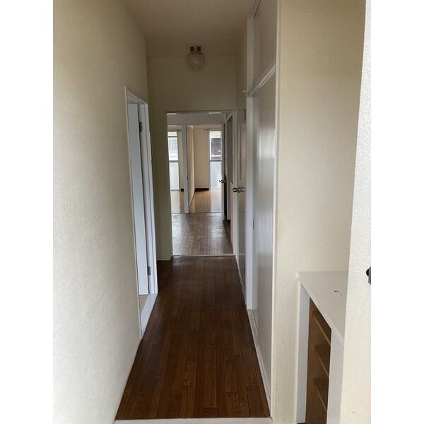 8/15 その他画像