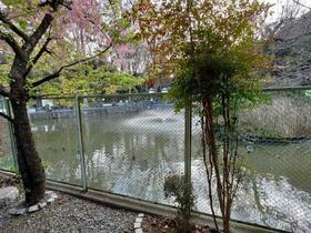 13/23 その他画像