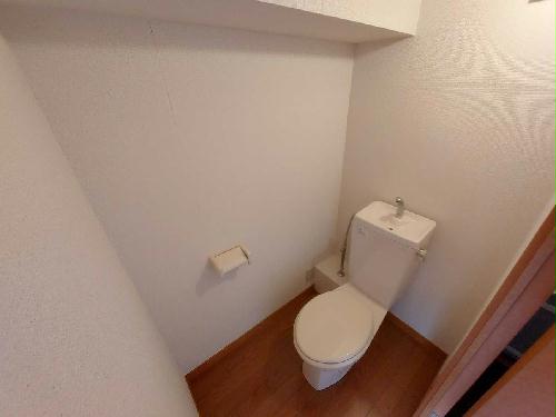 8/14 その他画像