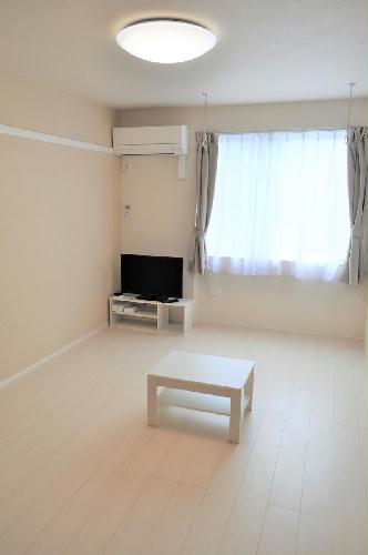 13/14 その他画像