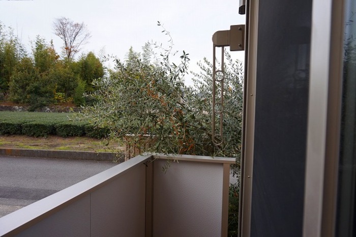 13/21 その他画像