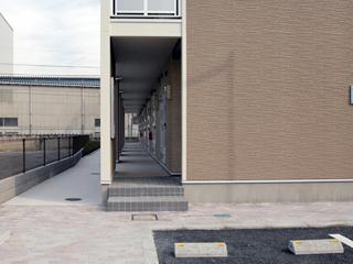 8/19 その他画像