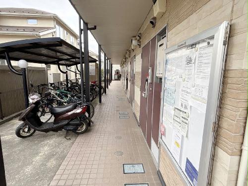 7/20 その他画像