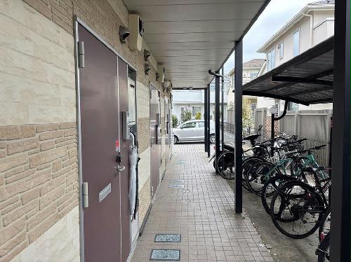 8/20 その他画像