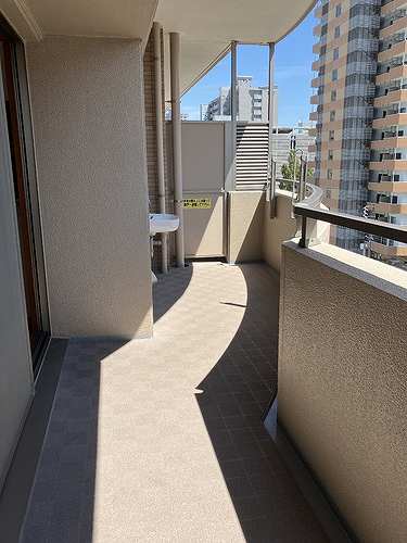 11/11 その他画像