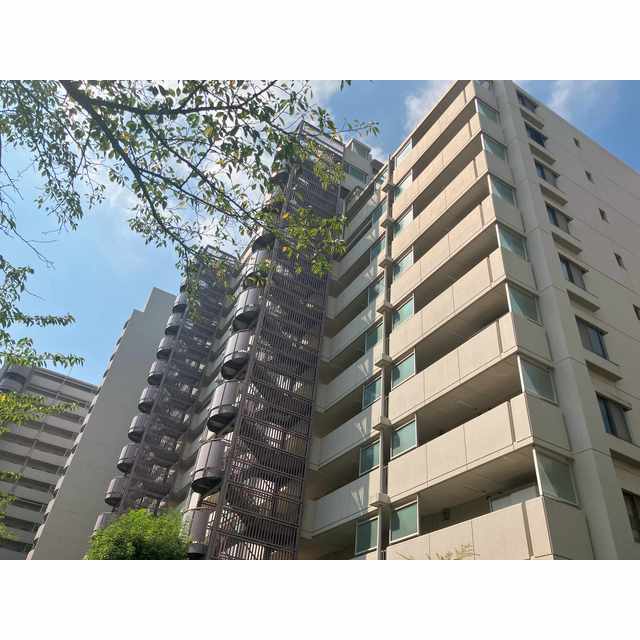 13/13 その他画像