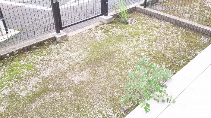 17/25 その他画像