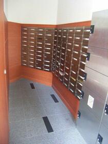 15/16 その他画像