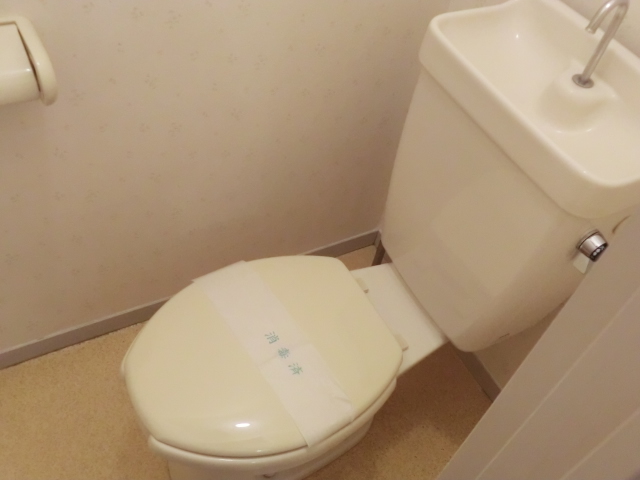 11/28 トイレ