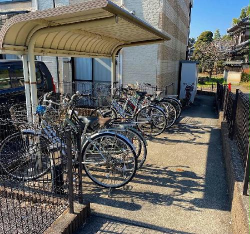 11/14 その他画像