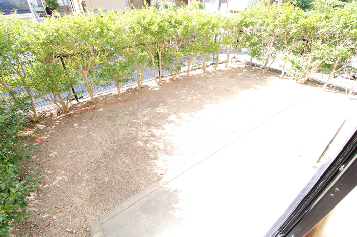 13/19 その他画像