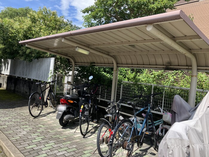 15/19 その他画像