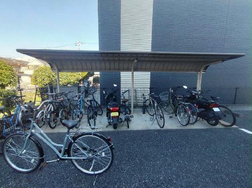 6/15 その他画像