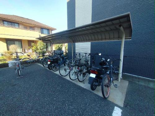 7/15 その他画像