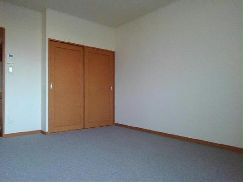 14/14 その他画像