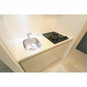 5/16 その他画像