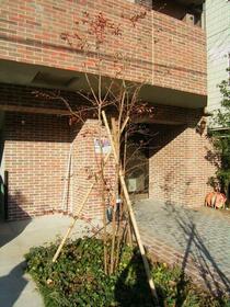 15/15 エントランス